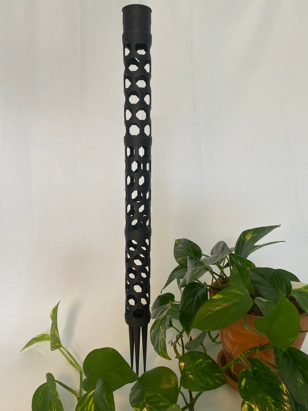 Bienenwaben Moosstab M