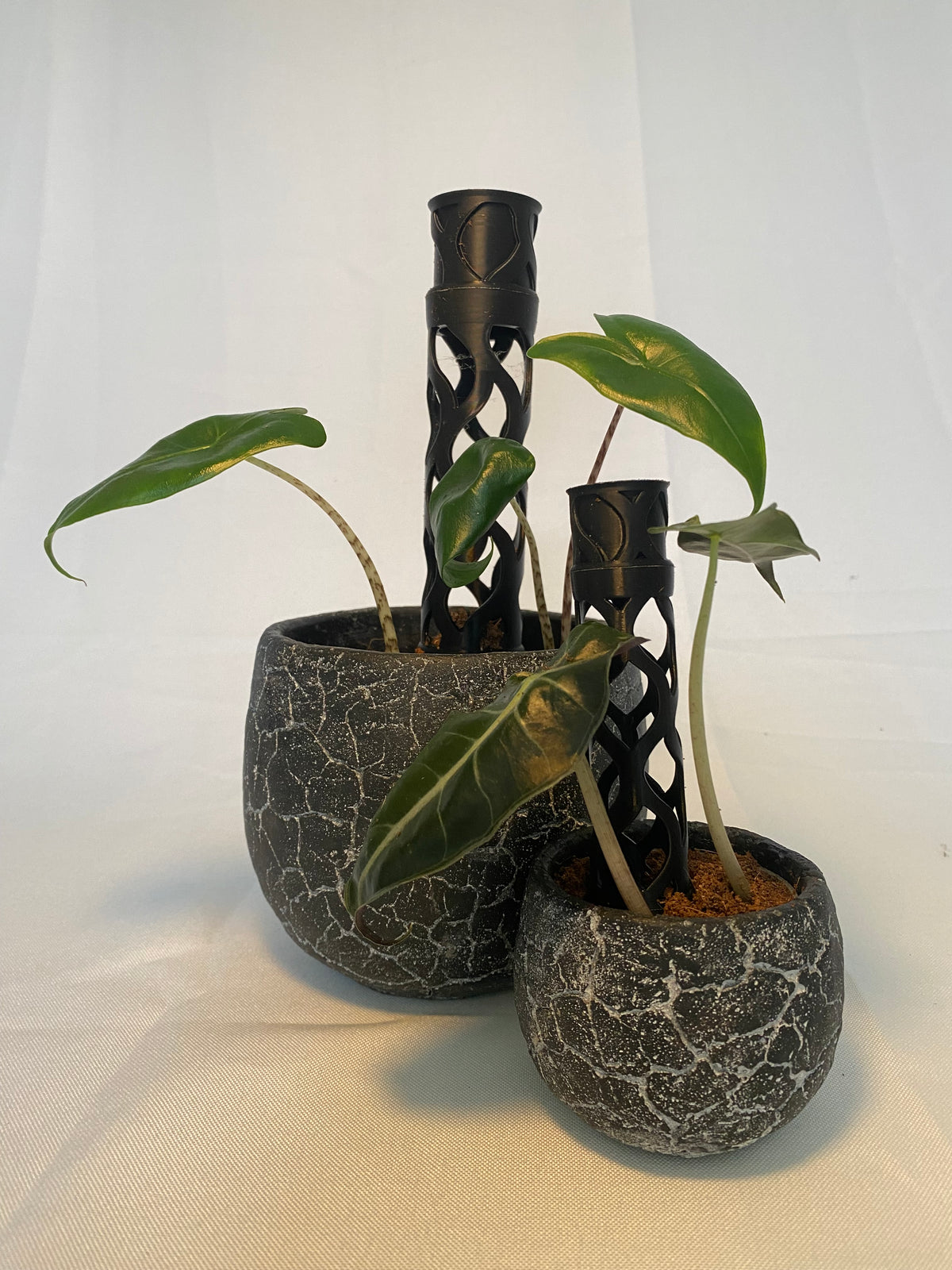 Unser Kleiner Größe S