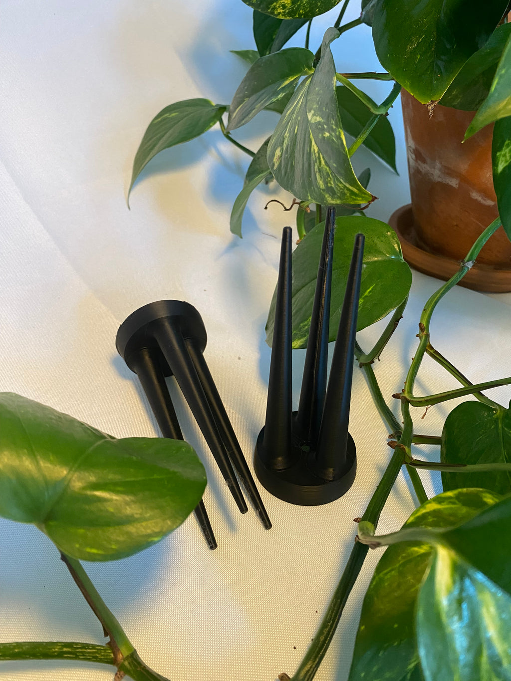 Blatt Moosstab Halboffen Größe M