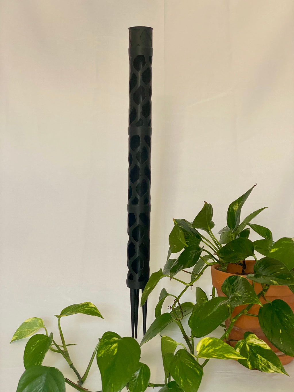 Blatt Moosstab Halboffen Größe M