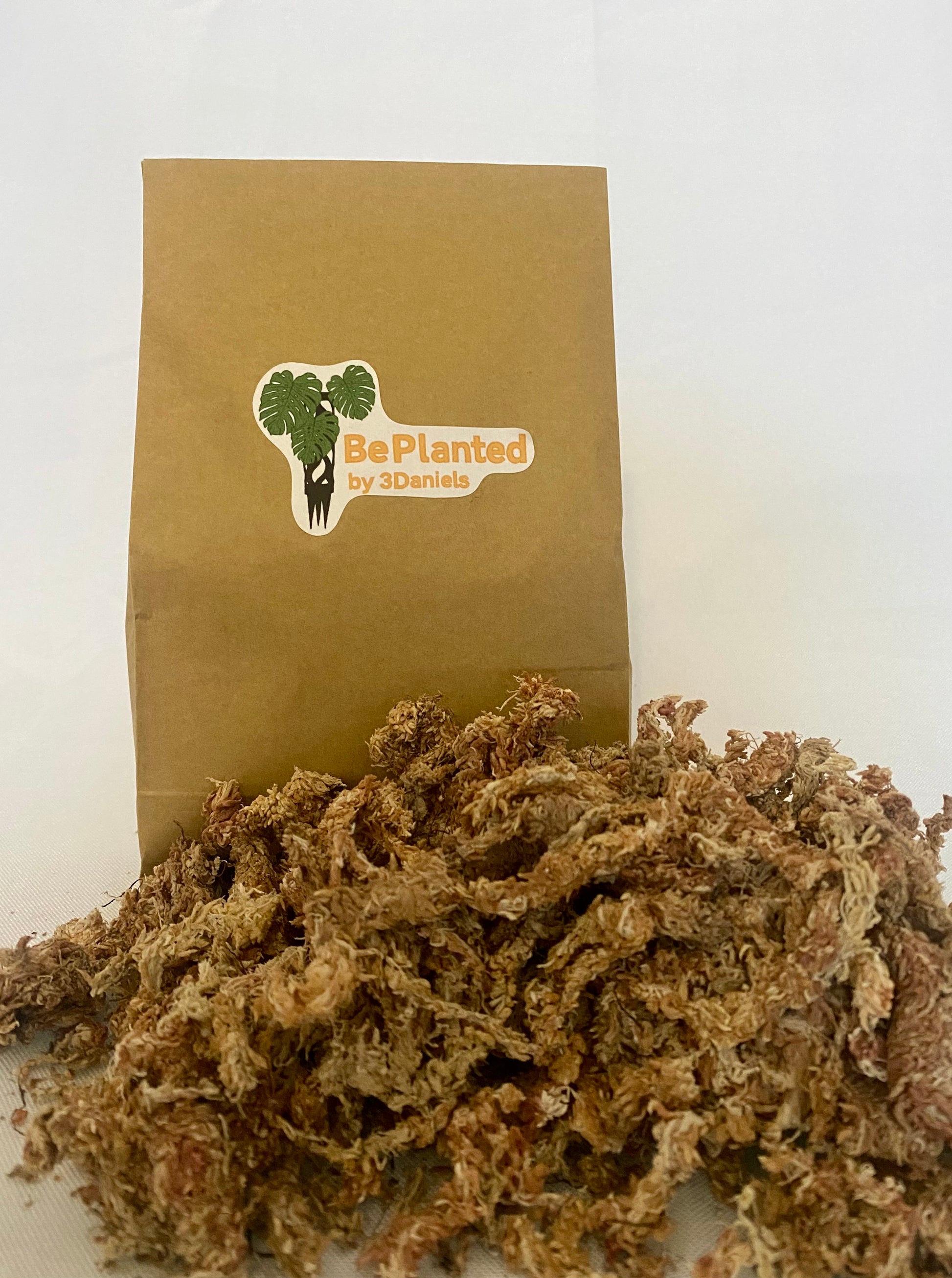 Sphagnum Moos aus Chile