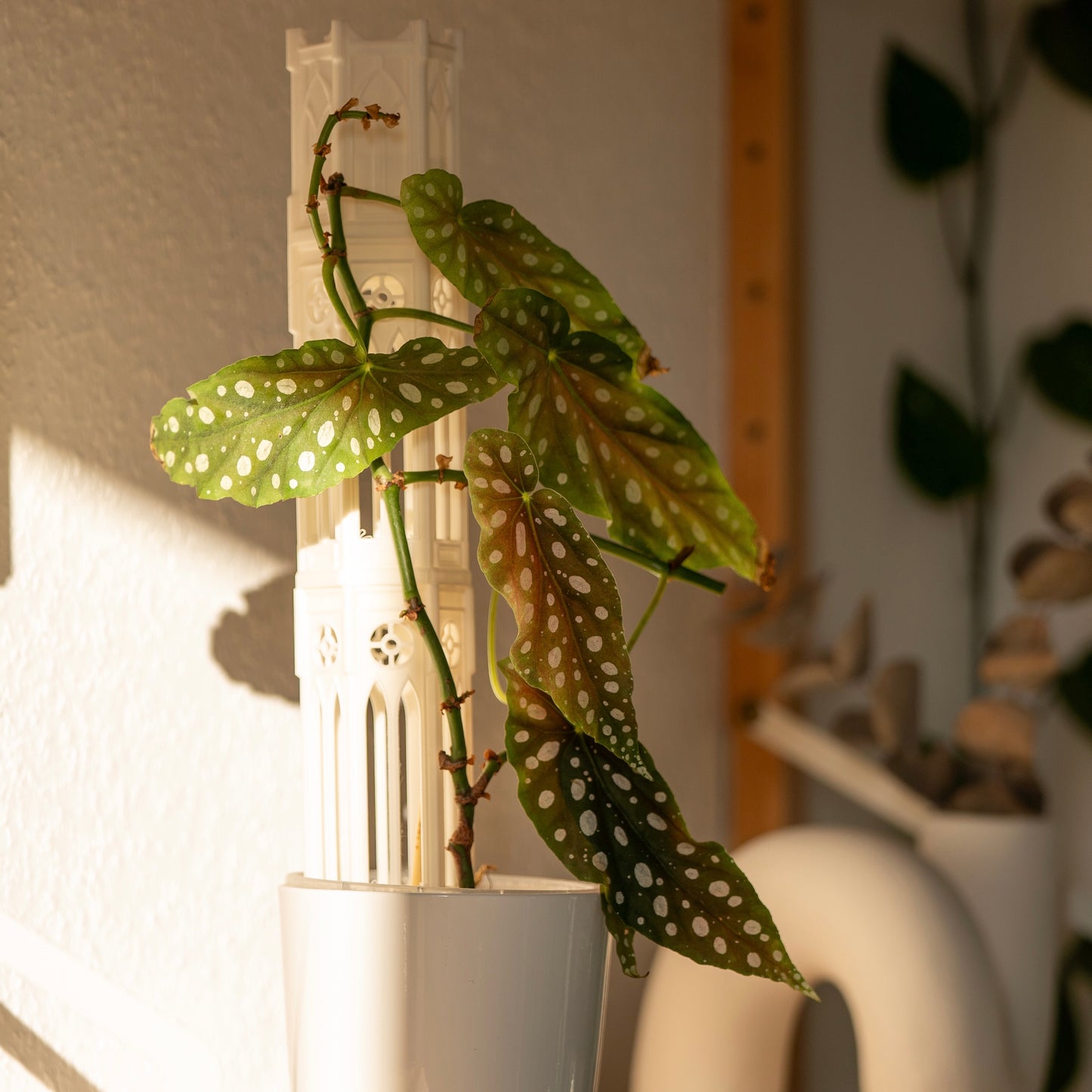 Märchen Design Größe M